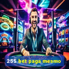 255 bet paga mesmo